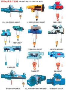 異型電動(dòng)葫蘆